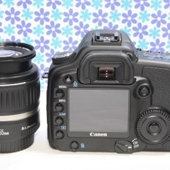 極美品★Canon EOS 30D★高画質★コンパクト★すぐ使える★