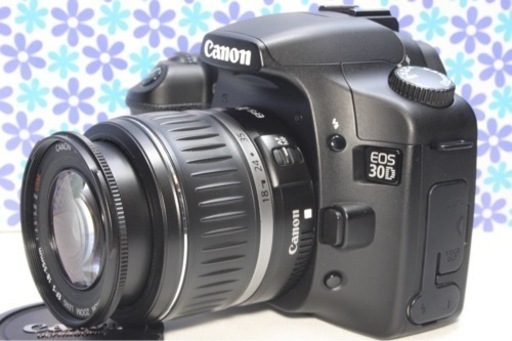 極美品★Canon EOS 30D★高画質★コンパクト★すぐ使える★