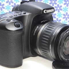 極美品★Canon EOS 30D★高画質★コンパクト★すぐ使える★