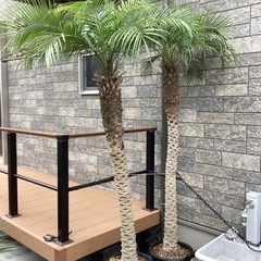 TCM ボブキャット343 398アワー 安全バー付きモデル