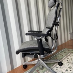 Ergohuman Pro エルゴヒューマン プロ 