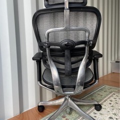 Ergohuman Pro エルゴヒューマン プロ 