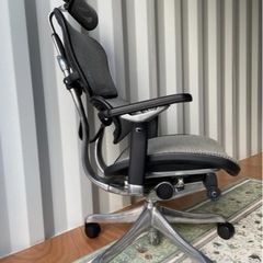 Ergohuman Pro エルゴヒューマン プロ 