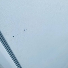  ♦️三菱ノンフロン冷凍冷蔵庫【2014年製】MR-C34Y-W