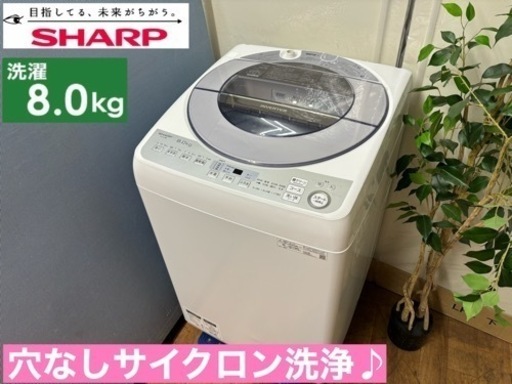 I393  ジモティー限定価格！SHARP 洗濯機 （8.0㎏） ⭐ 動作確認済 ⭐ クリーニング済