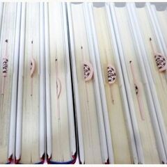 【　全巻セット　】定価21,000円＋税「　学習漫画世界の歴史 集英社　」全20巻+別巻2　全面新版　事典　元箱付　ISBN4-08-249902-4　まんが 