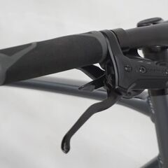 TREK 「トレック」 FX2 DISC 2022年モデル クロスバイク IT74D9L278D4