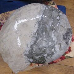 アンモナイト 化石 観賞用 石 横幅 約40cm 重量 約35Kg コレクションに