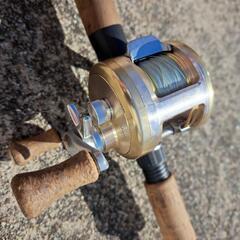 パームス　EDGE665 リール　ダイワCVZ 205