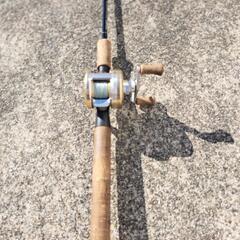 パームス　EDGE665 リール　ダイワCVZ 205