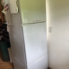 古い冷蔵庫ですが