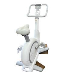 フジモリ(FUJIMORI)　Snailcle Bike スネイルクル