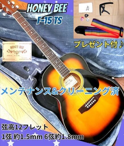 ★初心者オススメ♪プレゼント付★HONEY BEE W15/TS