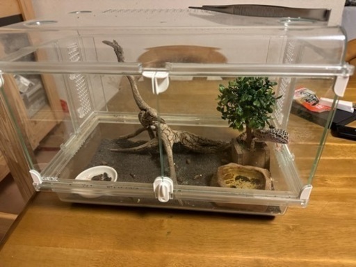 飼育ケージ　　セット
