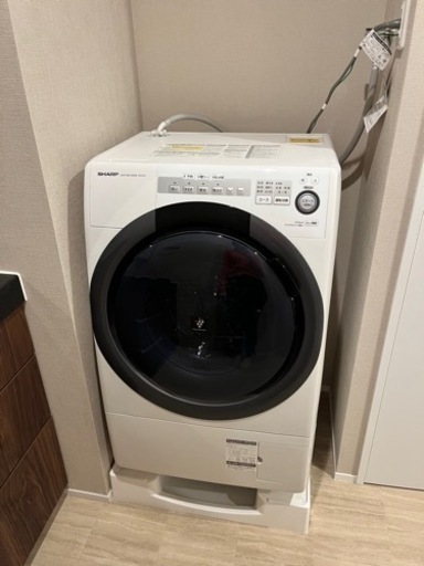 家電 生活家電 洗濯機