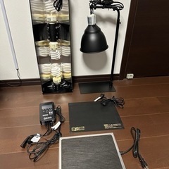 GEX エキゾテラ 6030 ゲージ　爬虫類　飼育セット　フトアゴ　リクガメ