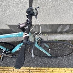 Bianchi　ビアンキ カメレオンテ