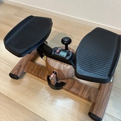 Power Aaoustik USA アンプ&BOSS AVA-600TR パワーアンプ