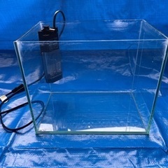 30センチガラス水槽セット