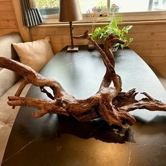 流木