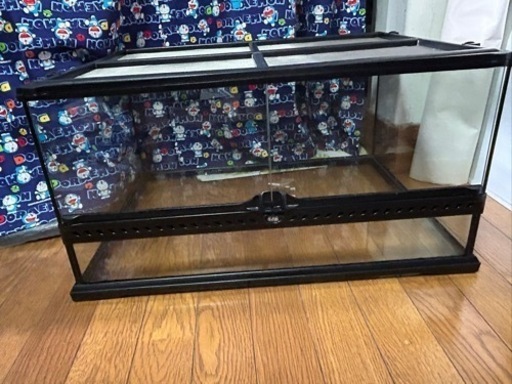 決まりました。爬虫類ゲージ