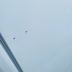 三菱 ノンフロン冷凍冷蔵庫MR-C34Y-W