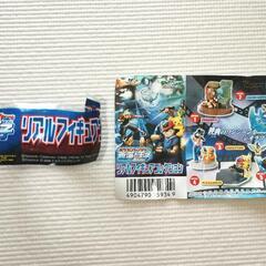 ポケモン リアルフィギュアコレクション ハルカとマナフィ