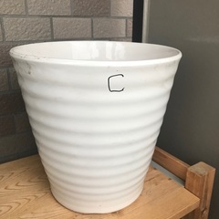 白い陶器の植木鉢C