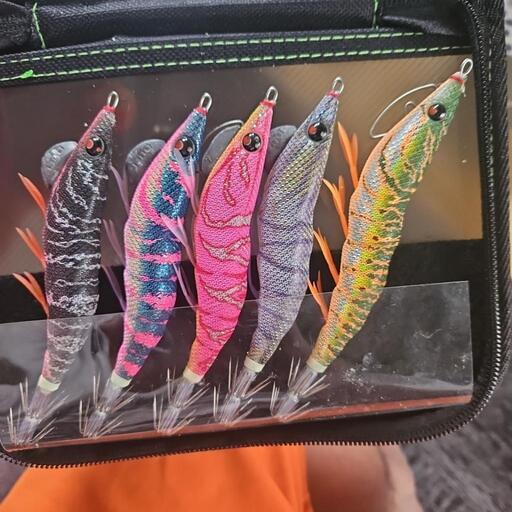 破格】早い者勝ちエギ・パタパタ