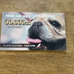 ドッグランひぬま　もろやま　回数券　30000円券　35000円分