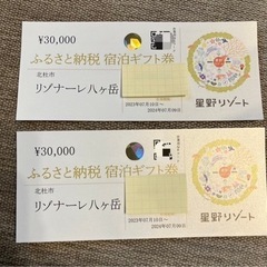 リゾナーレ八ヶ岳 宿泊券 星野リゾート 優待券 旅行券