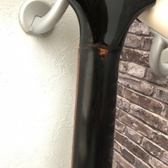 Zemaitis C24SU ゼマイティス　カシミア