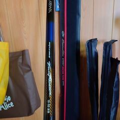 今日夕方で終わりにします🙇釣具打ち込み　タマンモンスター　ダイワ　箱付き