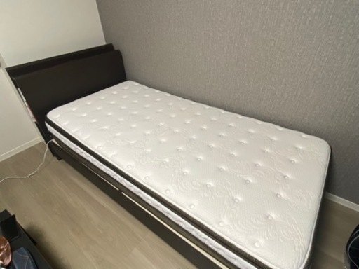 絶版品で美品！高級寝具メーカーのSealyとニトリのコラボ