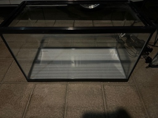 60cm水槽