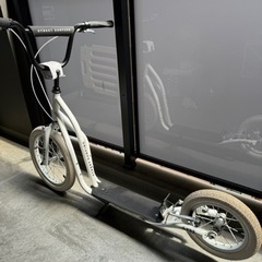 ストリートサーフィング（キックボード） - スポーツ 