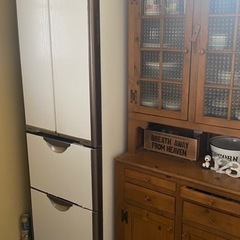 2009年製冷蔵庫