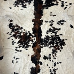 服/ファッション パンツ レディース