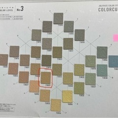 漆喰調塗料ジョリパットα20kg 建築資材 漆喰調塗料ジョリパットα20kg 建築資材