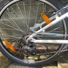 【お渡し先決定】自転車 マウンテンバイク MTB　specialized HOT ROCK 24