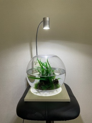 【アクアリウム】熱帯魚、３６０度丸型水槽、お手入れ簡単♪