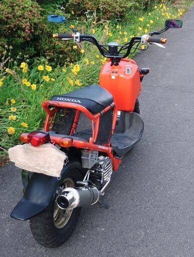 ズーマー オレンジ 自賠責少しあり (No.2160) 新車オートバイ ホンダ