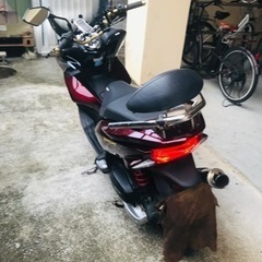 pcx
