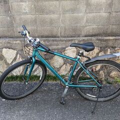 受け渡し予定者決定しました】Gravier Disc Mサイズ グリーン