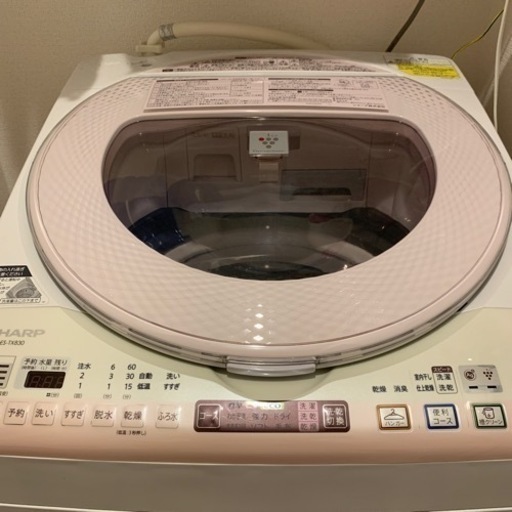 家電 生活家電 洗濯機