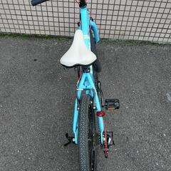 GIANT SNAP 20インチ キッズ 自転車