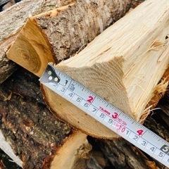 未乾燥薪　一袋（引き取り限定）