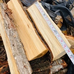 未乾燥薪　一袋（引き取り限定）