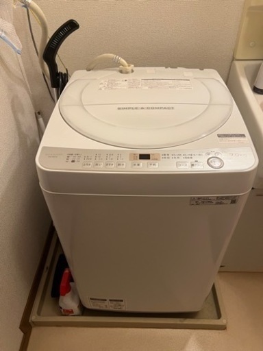 家電 生活家電 洗濯機