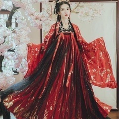 中国漢服(上着+长裙スカート+大袖衫コート3点セット）